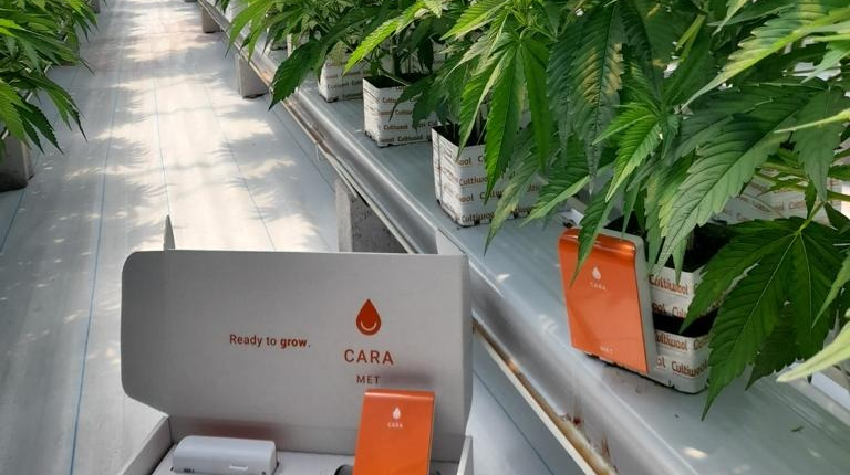 cultiwool-sense-nl[1]